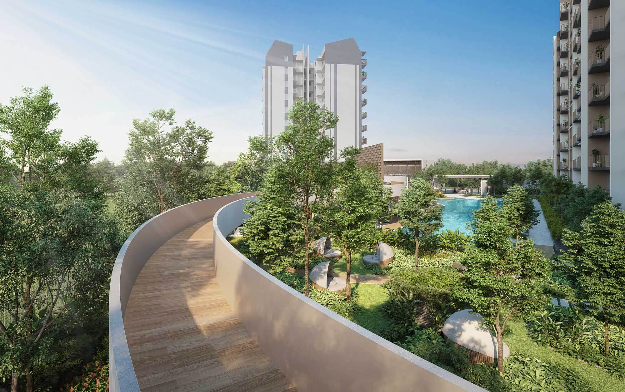 Treetop Walk (2nd Storey)